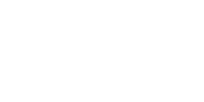 Soulever